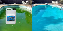 Carica l'immagine nel visualizzatore di Gallery, Pool Clarifier